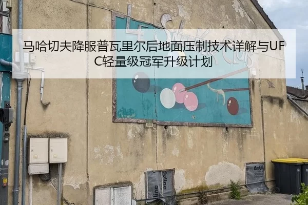 马哈切夫降服普瓦里尔后地面压制技术详解与UFC轻量级冠军升级计划